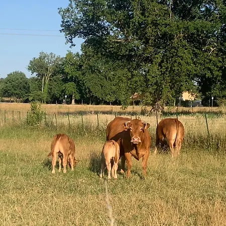 La Girondine Nord Estuaire Casa di campagna Peujard